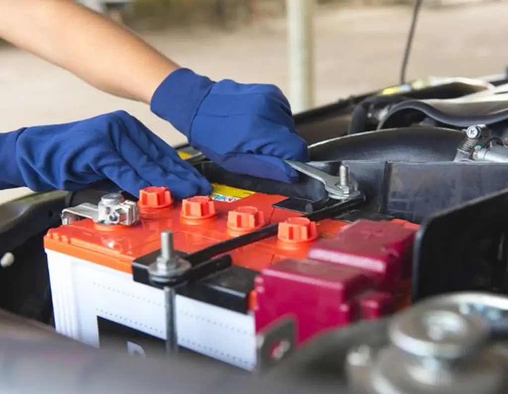 Insurance Exclusions