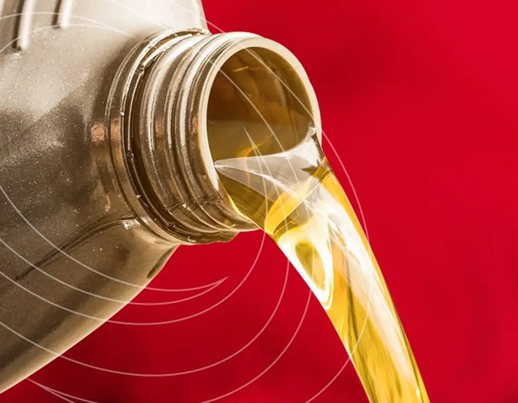 Insurance Exclusions